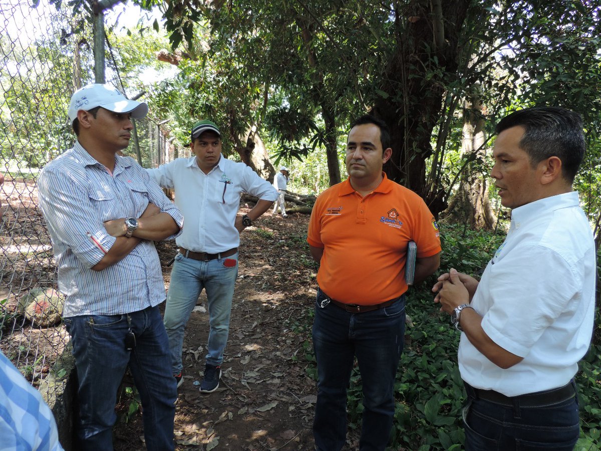 En Aguachica nuestro director @JulioSuarezL realizó recorrido por algunos de los proyectos que ejecuta Corpocesar para la sostenibilidad de los ecosistemas en este municipio.